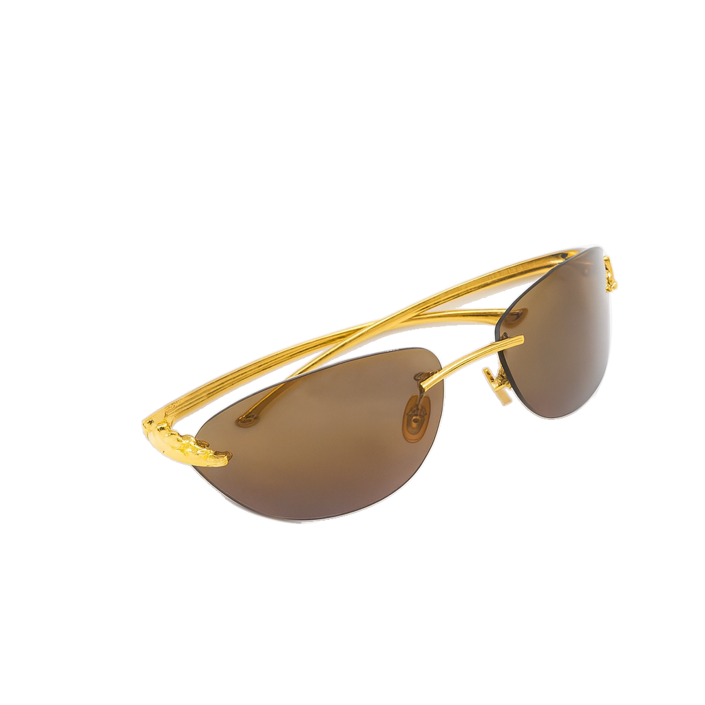عینک آفتابی کارتیر پنتر (Cartier)